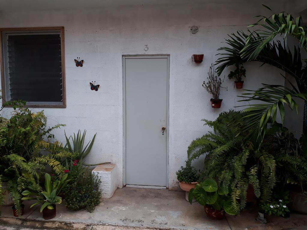 Appartamento Casa Azul Valladolid  Esterno foto